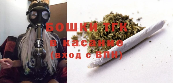 PSILOCYBIN Козловка