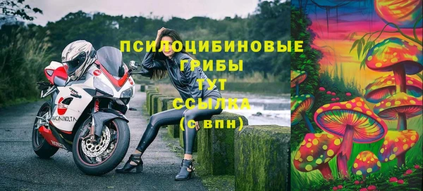 PSILOCYBIN Козловка