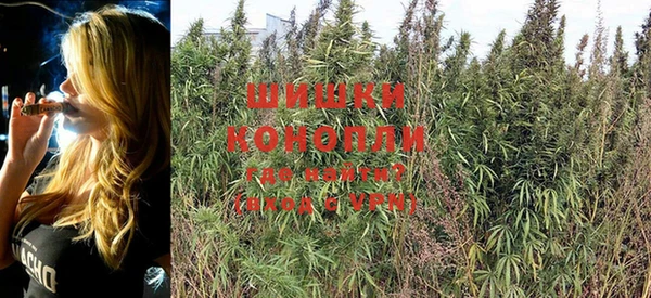 PSILOCYBIN Козловка