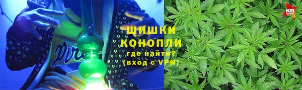 PSILOCYBIN Козловка