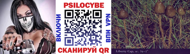 Псилоцибиновые грибы ЛСД  наркошоп  Пушкино 